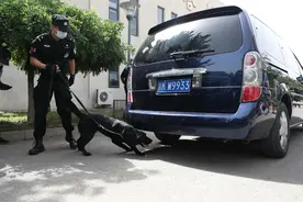北京警犬可识别激光笔指令，搜爆技能升级至搜索枪支散件图片