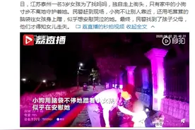 3岁女孩迷路忠犬寸步不离守护 用毛茸茸的脑袋给小主人安慰图片