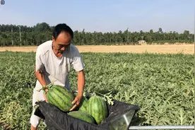 热热热！多地发布高温预警 今天你穿的长裤还是短裤？图片