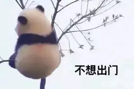 40余种交管业务可在线办理，快下载交管12123APP！办完请给个五星好评哦～图片