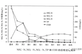 实例｜AAO工艺各类污染物变化趋势的分析图片