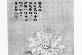 花之为姓，灼灼其华，为花取名也是大有讲究的图片