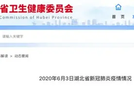 湖北发布最新新冠肺炎疫情情况图片