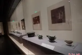 “启示——人类抗疫文明史”辽博首展 再现康熙帝治“天花”图片