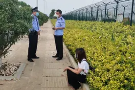 大白天，23岁女子欲翻机场“围墙”偷乘飞机！理由惊呆...图片