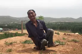 超励志！河南残疾大叔地上挪行55年 靠种树脱贫 女儿：我爸是神视频封面