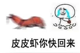 已有人上当丨泸州街头有人兜售皮皮虾，回家打开全是空壳图片