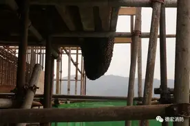 【德宏瑞丽】救援|快速处置翡翠世纪城建筑工地马蜂窝图片