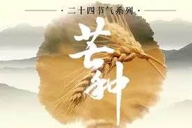 一年近半，忙中有幸图片