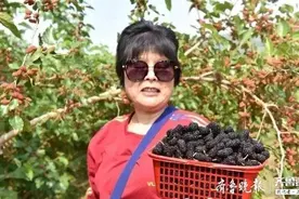 城南采摘野趣正当时图片