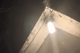 密密麻麻全是白蚁！小伙一礼拜不敢开窗，不少人家里也中招图片