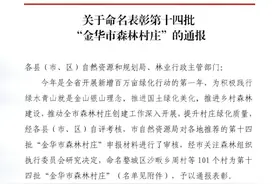 磐安这16个村庄被市里表彰了！快来看看你老家上榜了吗？图片