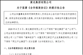 研发、负债双升，紫光股改引入重庆国资、清华让出控股权图片