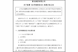 研发、负债双升，紫光股改引入重庆国资、清华让出控股权图片