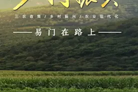 乡村振兴 易门在路上图片
