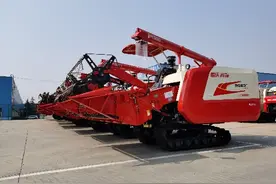 收割倒伏利器 雷沃RG50S唯“沃”独行图片