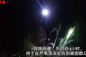 老太太被困江边芦苇荡，民警3小时涉险营救图片