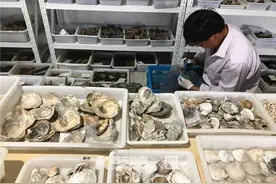 谈谈中国人吃海鲜的历史，从井头山人“海鲜自由”说起图片