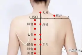 科普 | 痛！痛！痛！贴！贴！贴！您的膏药贴对了吗？图片