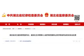 湖北汉口监狱原监狱长王洪鹰、原纪委副书记彭兰被“双开”并移送司法机关图片