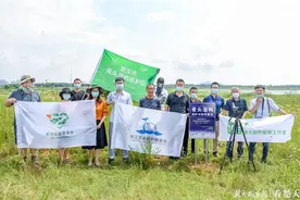 青头潜鸭全球种群数量仅千只左右，梁子湖首支巡护队今日成立图片