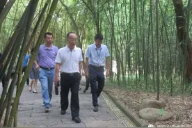 兴宁区委书记舒善隆带队到狮山公园开展调研指导工作图片
