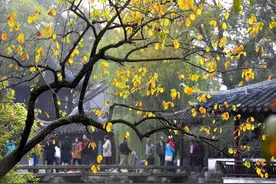难忘苏州笔会｜缪俊杰图片