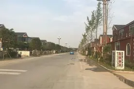 靠大蒜住上别墅的山东金乡崔口人图片