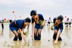 身着靓丽制服的青航空姐空少下地插秧，你怎么看？图片