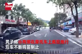 男子将小狗绑摩托车拖行百米，珠海警方：正调查，小狗被收养图片
