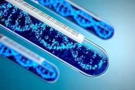 既然有感染者病例，科学家们为何还要构建活的新冠病毒？图片