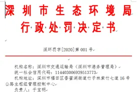 深圳湾航道疏浚工程环评事件处罚公布：南海所失信记分罚320万图片