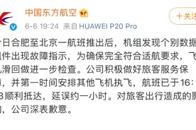 安徽合肥机场一东航客机起飞时因故障紧急滑回图片
