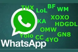 翻遍了字典，还看不懂德国朋友发来的信息？图片