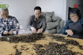 第一书记VLOG丨我的“锦囊妙计”图片
