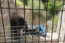 迷恋沿途风景！7旬大爷要步行去机场 结果跟着导航进了山里视频封面