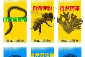 6.5环境日，从认识我们身边的环境开始图片