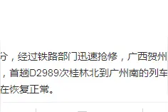 南宁铁路：广西贺州境内因暴雨落石受阻的贵广客专恢复通车图片