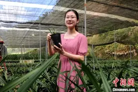 漳州95后“网红”女村长：利用直播等平台卖兰花搞旅游图片