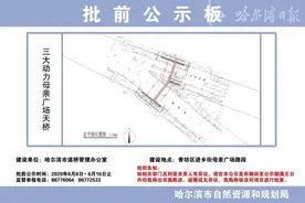 南岗、香坊各一座！哈尔滨将新建两处过街天桥，位置在这图片