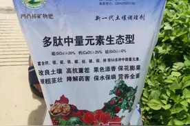 文山新平：“盐碱地”变身绿色“聚宝盆”图片