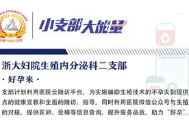 胚胎守护人：“小蝌蚪”和卵细胞成功结合，离不开他们的暗中帮助图片