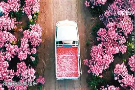 《航拍中国》第三季：影像之中的文化自信图片