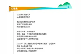 山海金｜碧海沙滩红树林，浙江这个风情小岛，承包了你对海洋的所有幻想图片