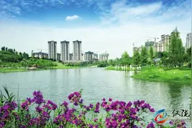 仪陇：旅游综合收入超百亿 革命老区成红色旅游热土图片