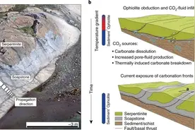 Nature Geoscience：反应性流体可驱动深部地壳岩石快速转变图片