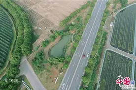 宜兴番茄小镇："旅游+" 促农业生态良性发展图片