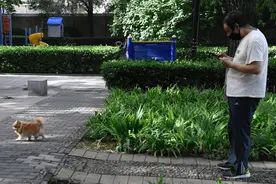 北京多小区神器上岗 专治遛狗不拴绳图片