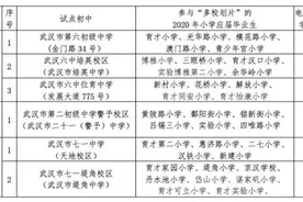 武汉市江岸区发布2020小升初入学指南图片