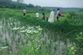 这对夫妻的不典型复工记：组团下乡养儿，还吸引了南极科考队员图片